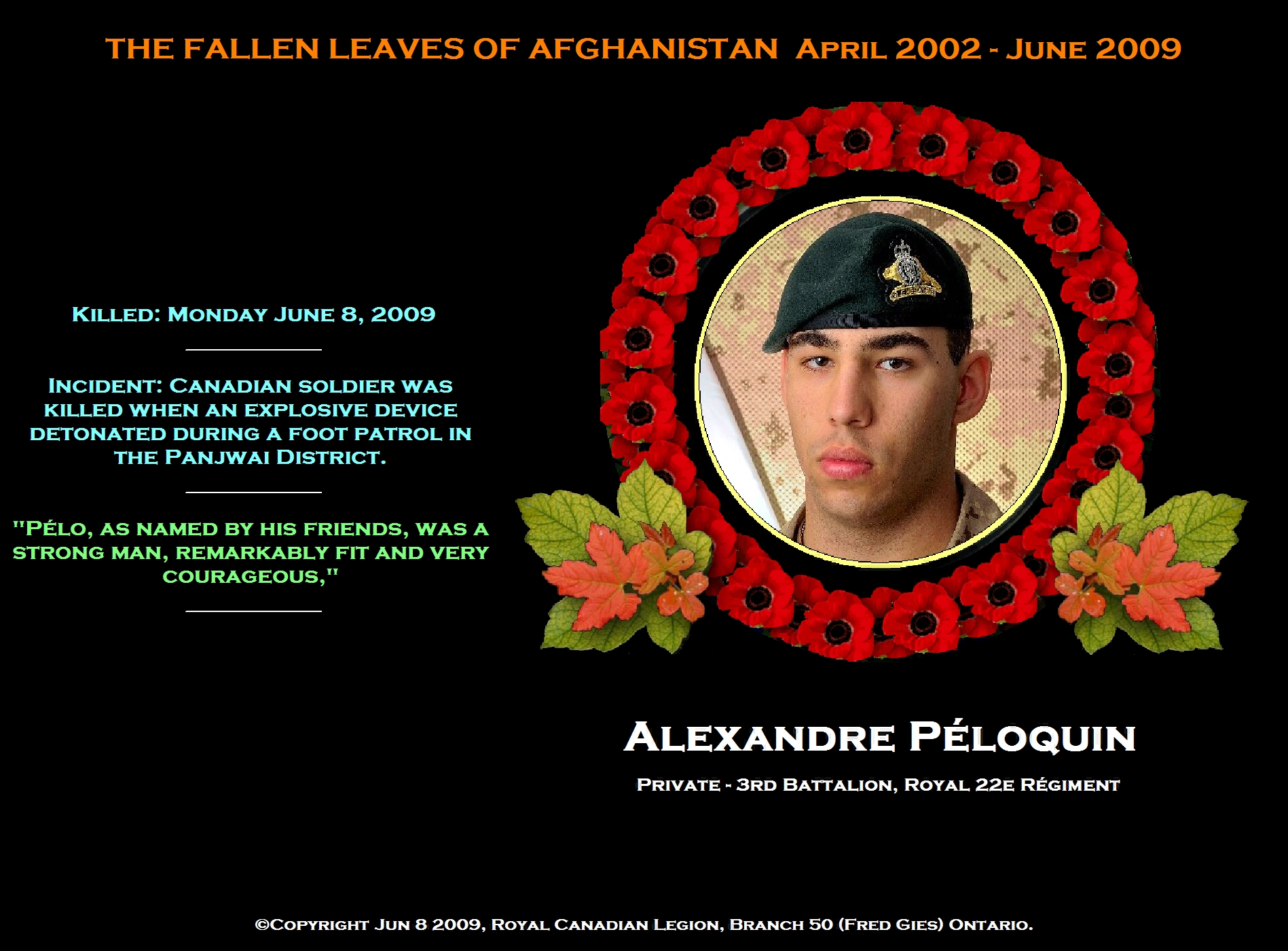 Fallen Brother